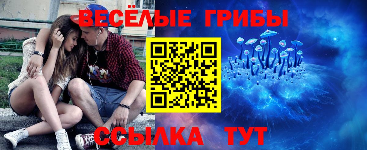 Псилоцибиновые грибы ЛСД  Галлюциногенные грибы ЛСД  Вход с VPN  Петрозаводск 
